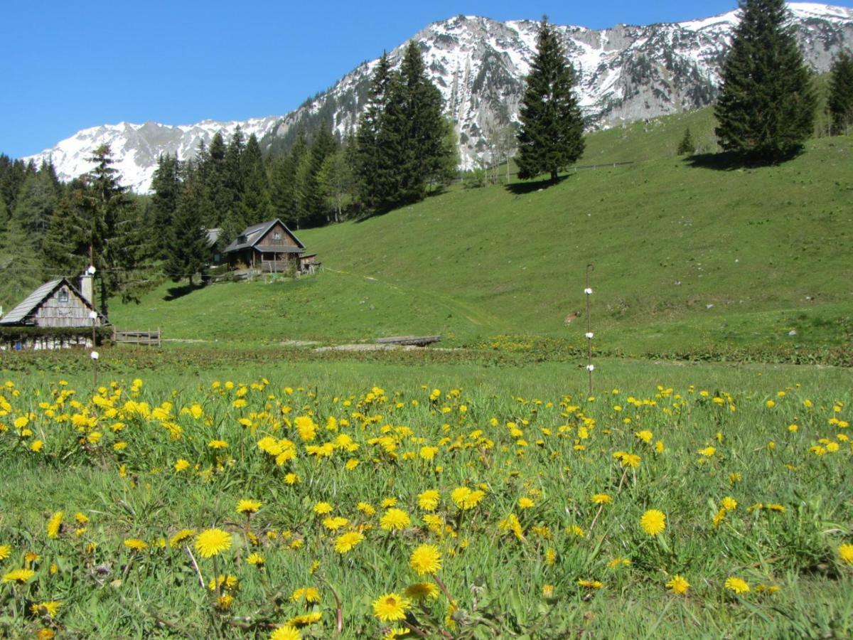 Almgasthaus Seebergalm Turnau Exterior foto