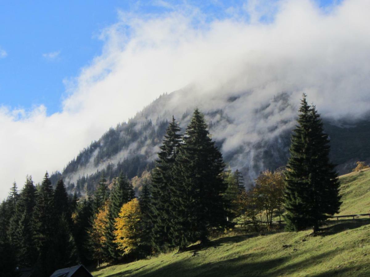 Almgasthaus Seebergalm Turnau Exterior foto